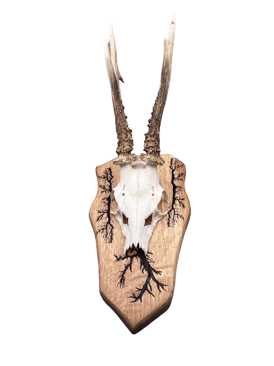Rehbockbrett, Eiche geölt, mit Lichtenberg-Figuren - handgefertigt, Unikat